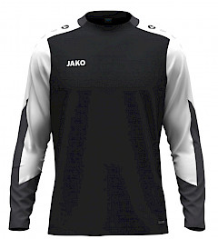 Longsleeve Dynamic